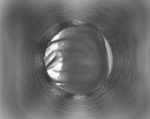 X0000055980606200509162227