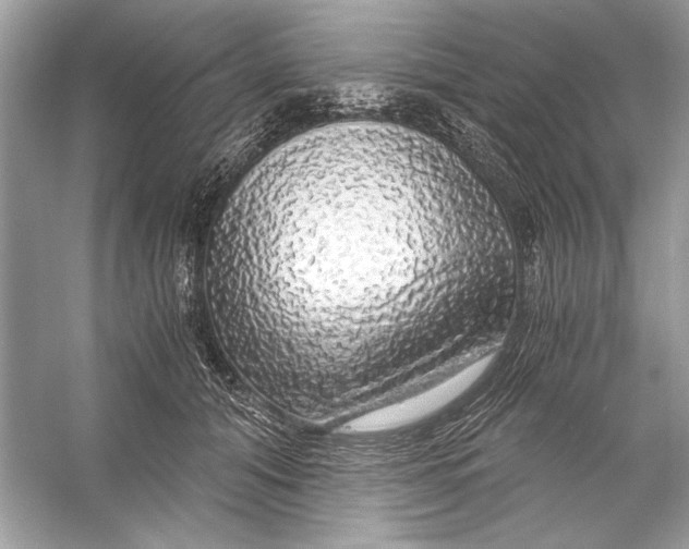 X0000055980608200509162227