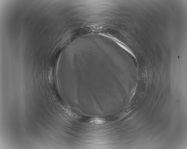X0000055980610200509162227