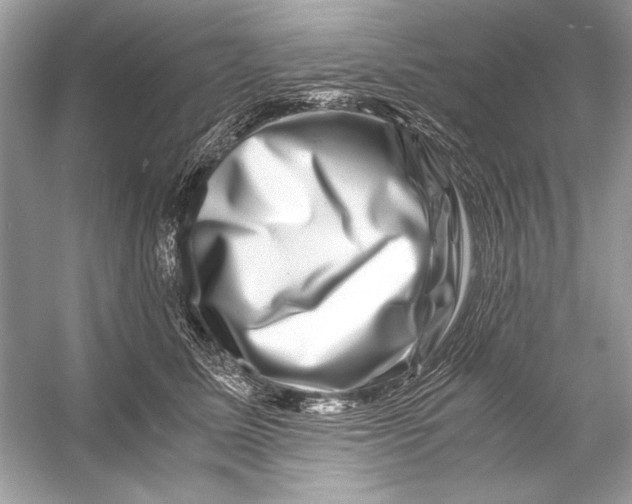 X0000055980611200509162227