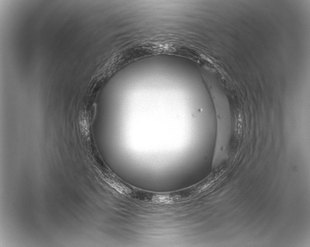 X0000055980613200509162227