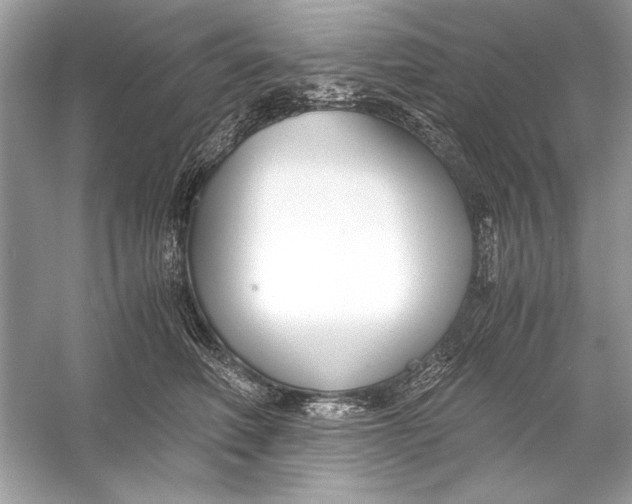 X0000055980614200509162227