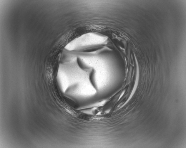 X0000055980617200509162227