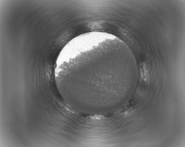 X0000055980618200509162227