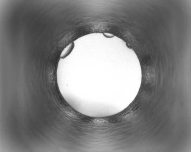 X0000055980619200509162227