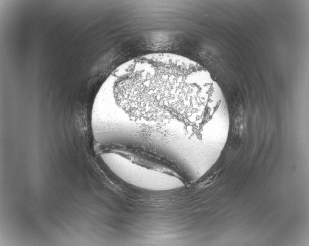 X0000055980620200509162227