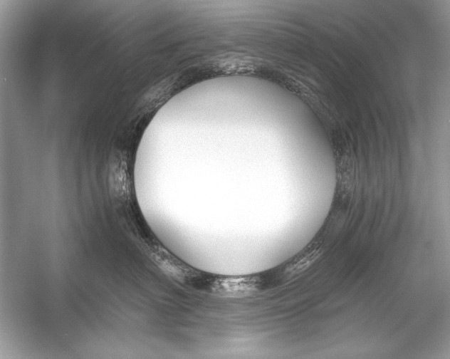X0000055980622200509162227