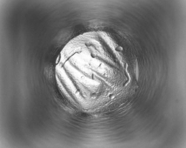 X0000055980623200509162227