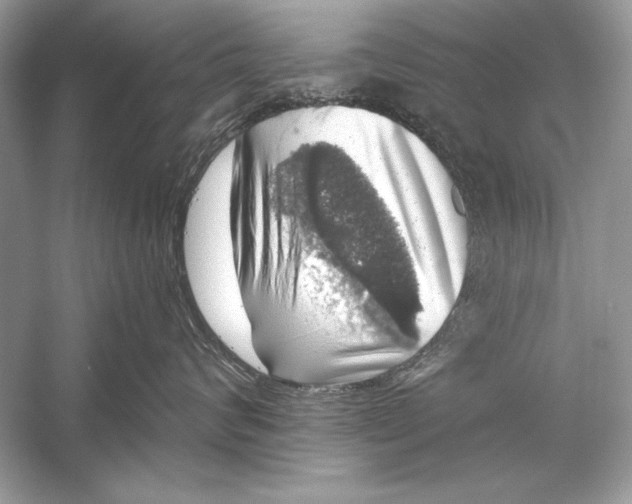 X0000055980624200509162227