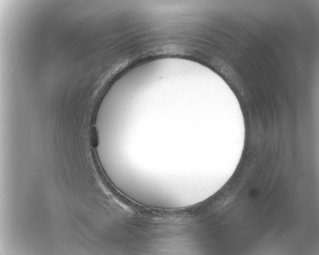 X0000055980625200509162226