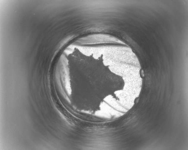 X0000055980626200509162226