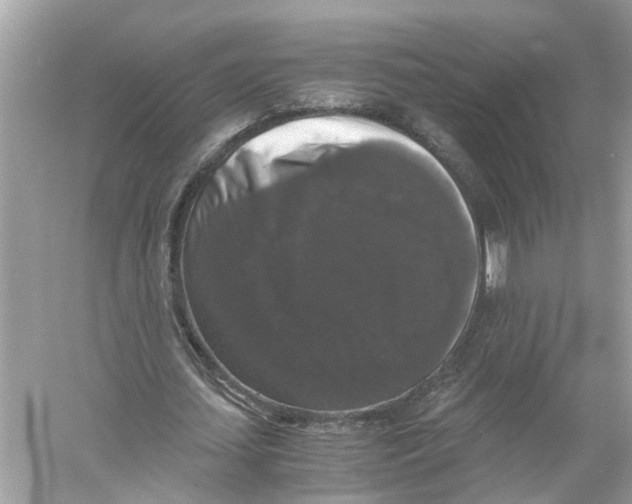 X0000055980627200509162226