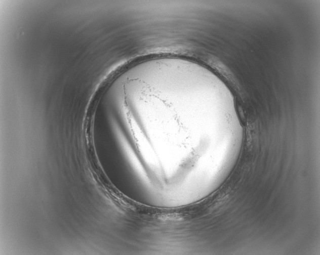 X0000055980628200509162226