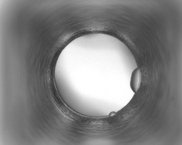 X0000055980631200509162226