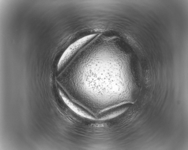 X0000055980639200509162226