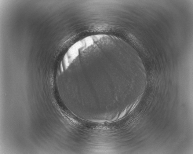 X0000055980640200509162226