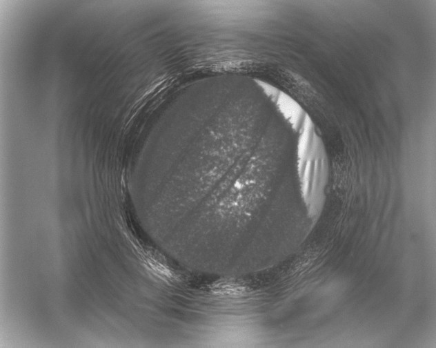 X0000055980648200509162226