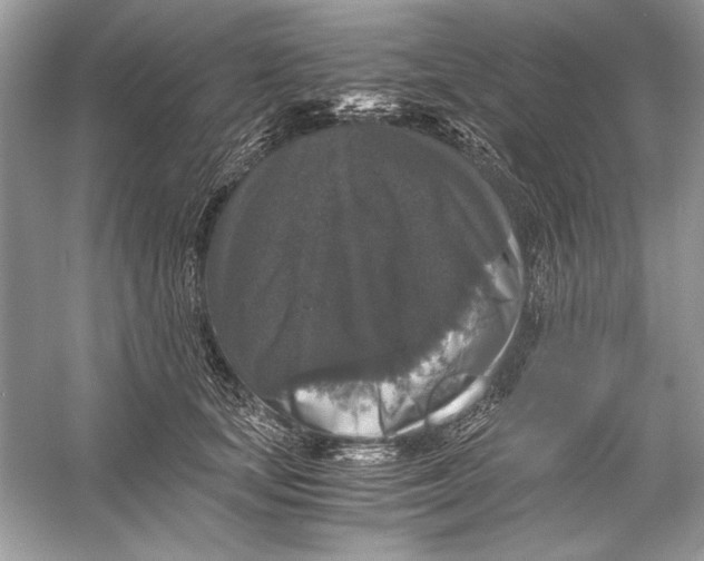 X0000055980659200509162227