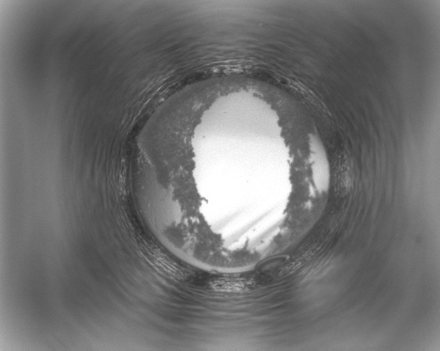 X0000055980661200509162227