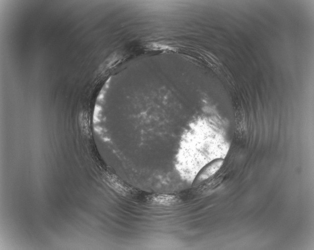 X0000055980669200509162227