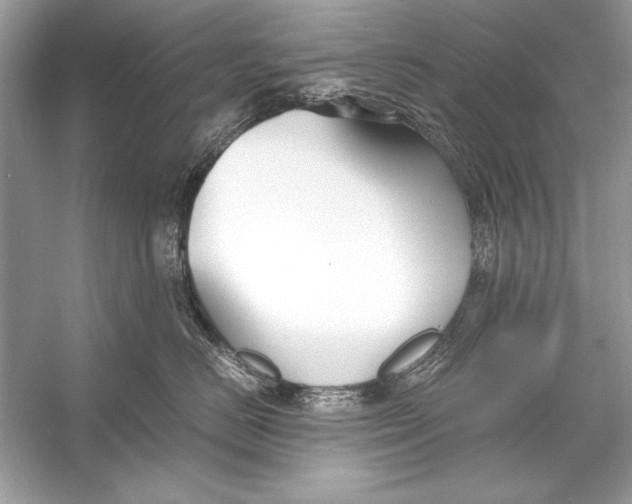 X0000055980670200509162227