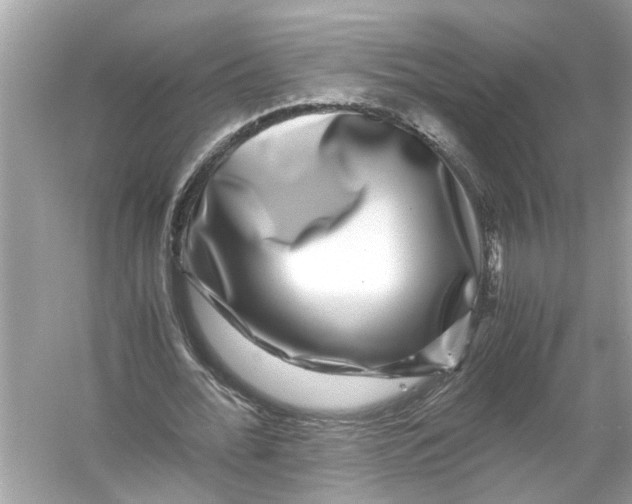 X0000055980676200509162226