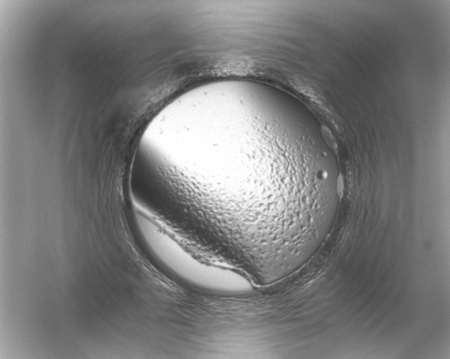 X0000055980681200509162226