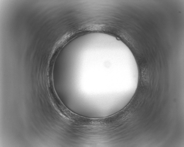 X0000055980682200509162226