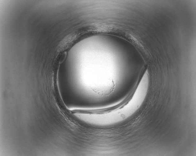 X0000055980685200509162226