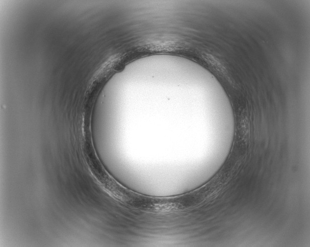 X0000055980686200509162226