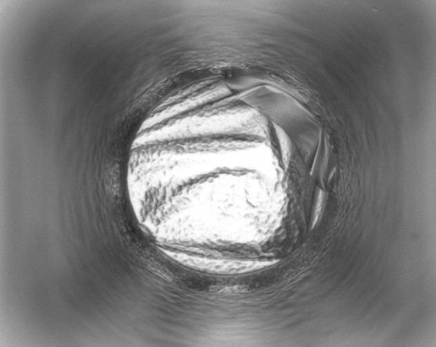 X0000055980689200509162226