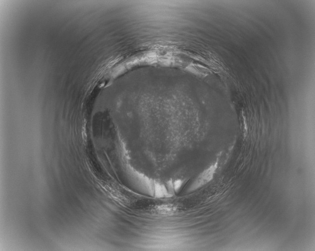 X0000055980692200509162226