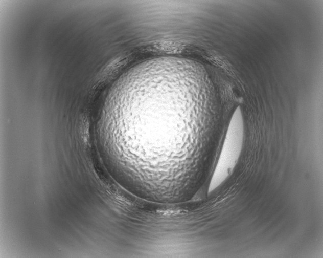 X0000055980693200509162226