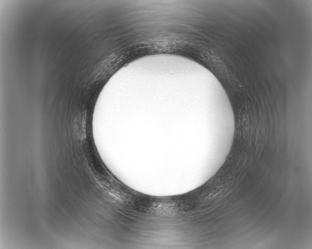 X0000055980694200509162226
