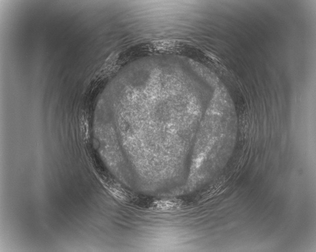 X0000055980703200509162225