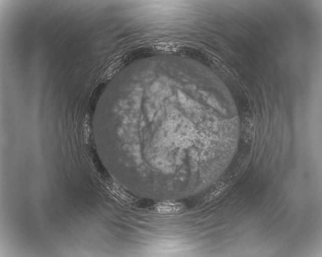 X0000055980707200509162225