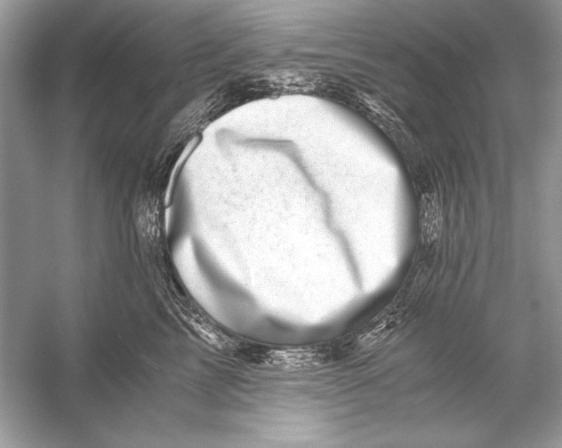 X0000055980713200509162225