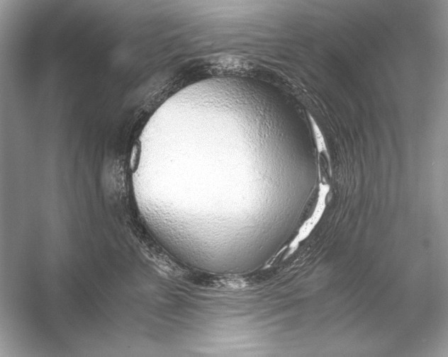 X0000055980715200509162225