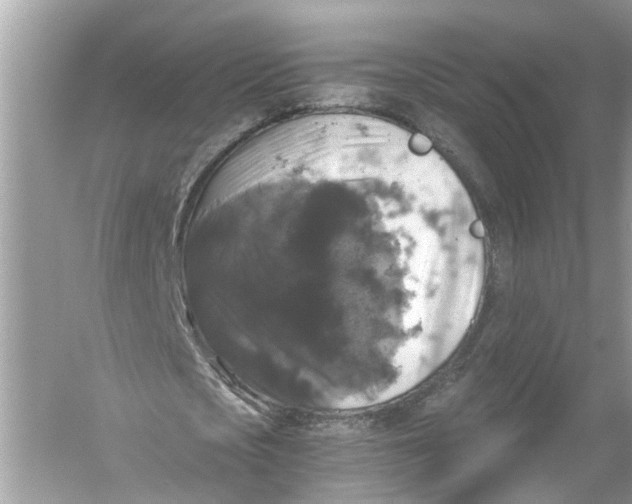 X0000055980721200509162224