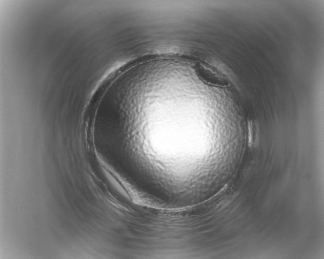 X0000055980723200509162224