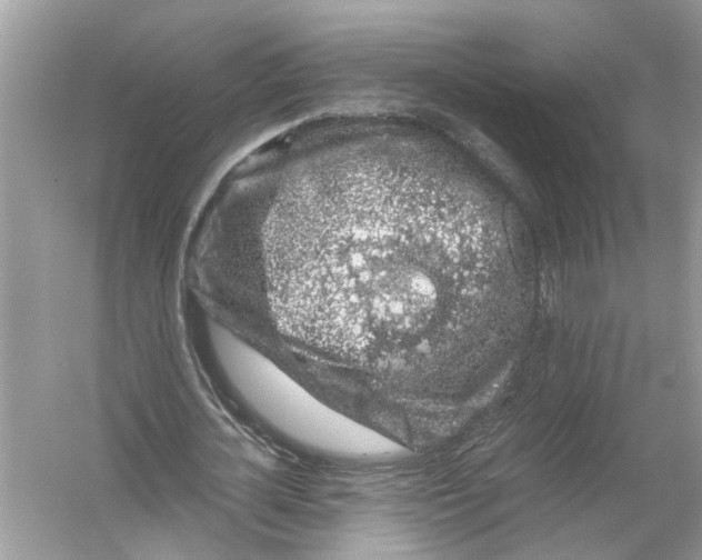 X0000055980724200509162224