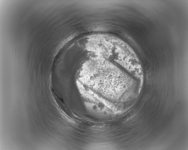 X0000055980725200509162224