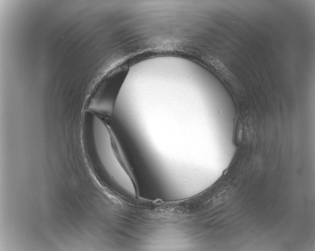 X0000055980728200509162224