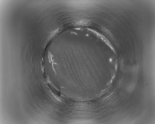 X0000055980729200509162224