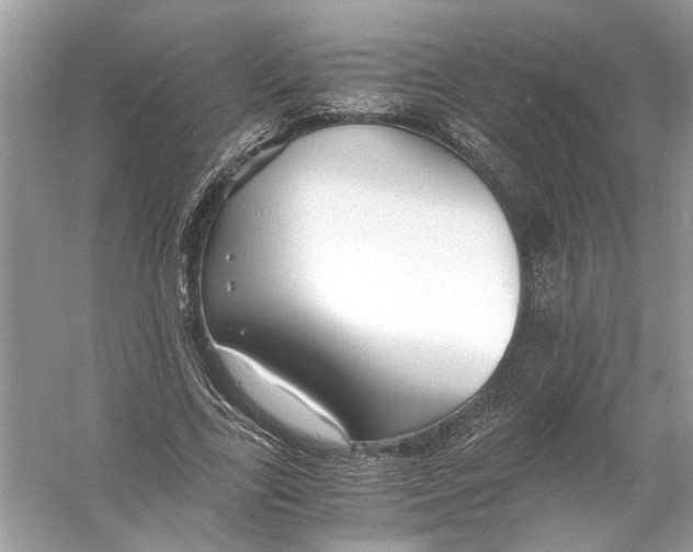 X0000055980731200509162224