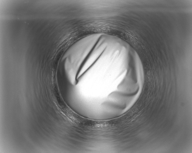 X0000055980744200509162225