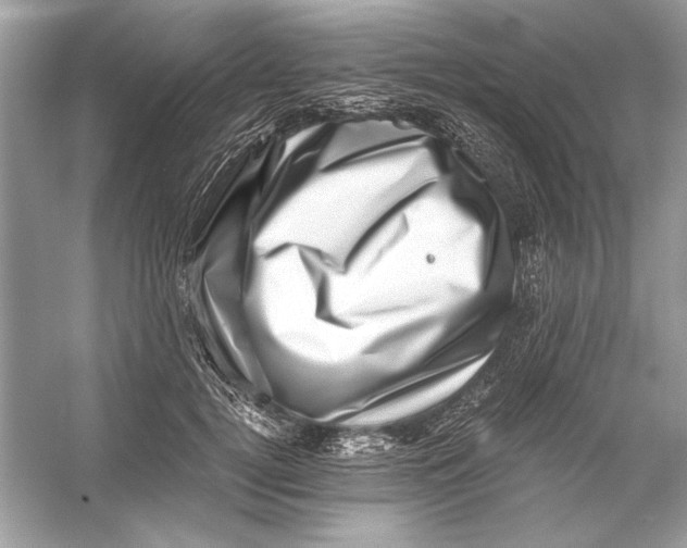 X0000055980752200509162225