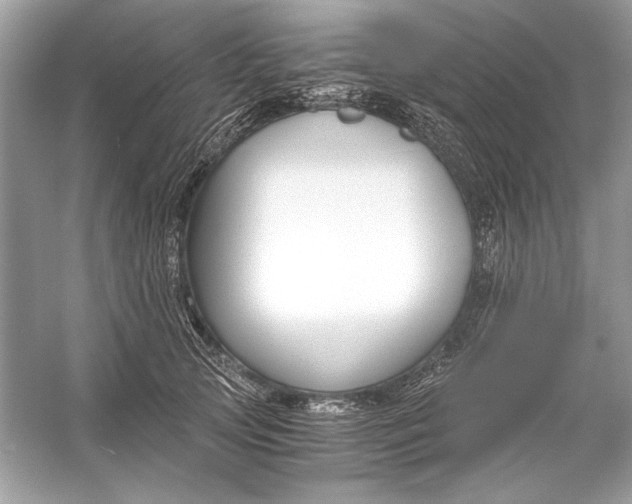 X0000055980753200509162225