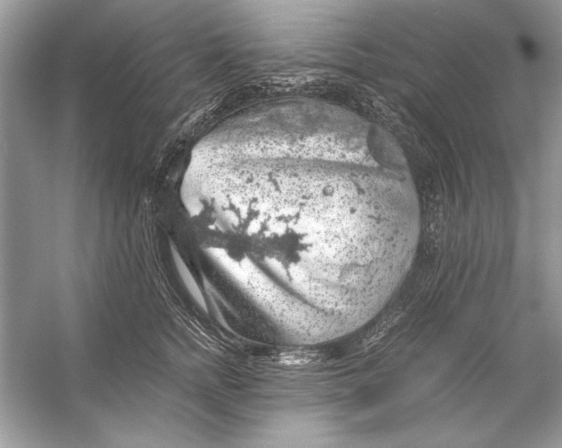 X0000055980758200509162225