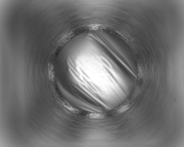 X0000055980766200509162225
